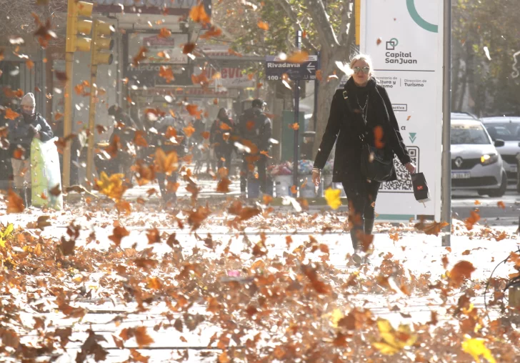 Alerta por viento Zonda: qué dice un experto y su pronóstico para los días que siguen