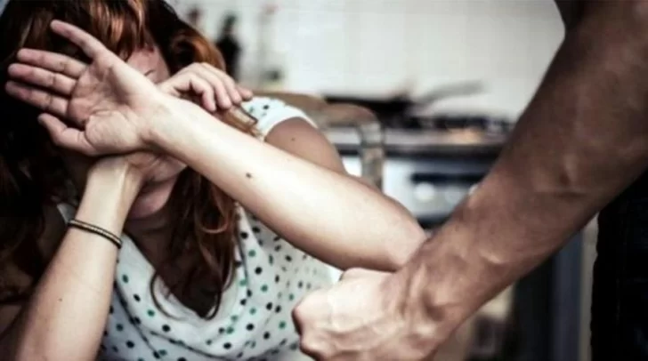 Diez meses de prisión condicional por golpear a su amiga que le tiró el gato por la ventana Diez meses de prisión condicional por golpear a su amiga que le tiró el gato por la ventana