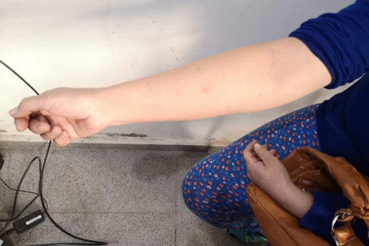 Golpeó a su madre porque no le dio la mayonesa y destapó un terrible caso de violencia familiar