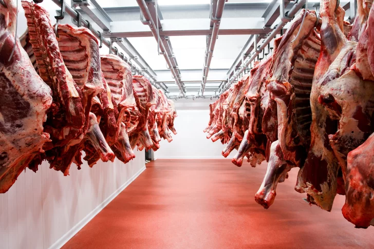 Kulfas dijo que “de ser posible” se reabrirá la exportación de carnes “antes de 30 días”
