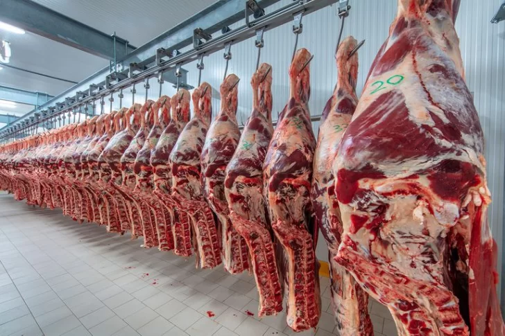 Las exportaciones de carne se recuperaron en agosto, con un alza de 25,7%
