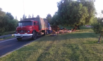Una mala maniobra provocó el vuelco de su acoplado y la pérdida parcial del cargamento Una mala maniobra provocó el vuelco de su acoplado y la pérdida parcial del cargamento
