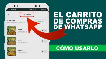 WhatsApp habilitó el carrito de compras: cómo funciona WhatsApp habilitó el carrito de compras: cómo funciona