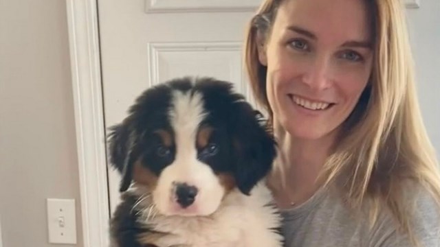 Grabó el crecimiento de su perro y sorprende por el tamaño en pocos meses