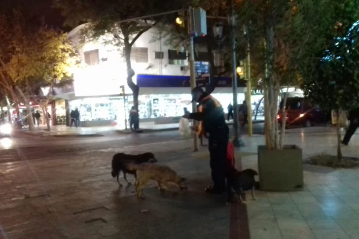 El policía que hace guardia en la Peatonal y ayuda a alimentar a los perros callejeros