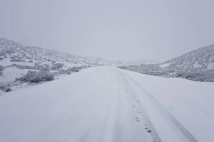 La nieve interrumpió el tránsito en El Colorado y complicó otras rutas