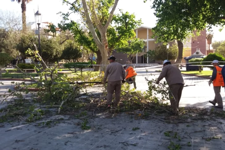 El viento tiró una rama en la Plaza 25 de Mayo y un policía se salvó de milagro