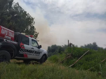 Pocito: un incendio en una finca de olivos complicó la visibilidad en la Ruta 40