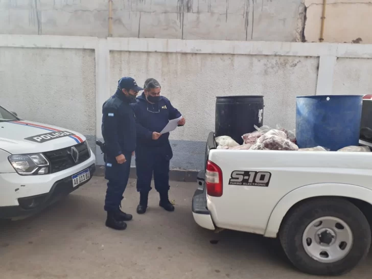 Decomisan 700 kilos de achuras que eran transportados en la caja de una camioneta Decomisan 700 kilos de achuras que eran transportados en la caja de una camioneta