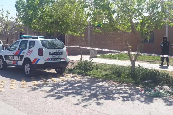 La madre de la nena asesinada por un pitbull dijo que el animal se le escapó a un vecino