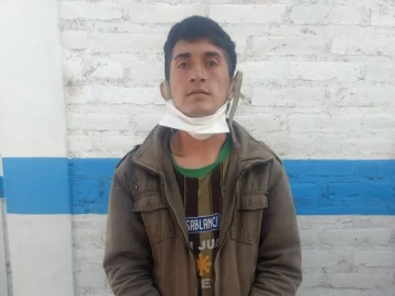 Detenidos por robar en una casa: hasta una columna armada intentaron llevarse Detenidos por robar en una casa: hasta una columna armada intentaron llevarse