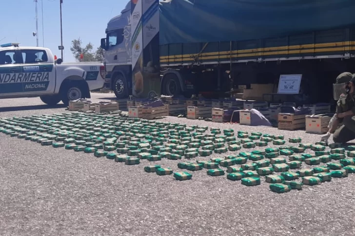 Secuestraron en Vallecito 90 kilos de hojas de coca, valuados en $1,5 millones