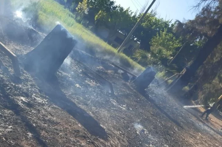 Con ayuda del viento, hubo al menos cuatro focos de incendios forestales