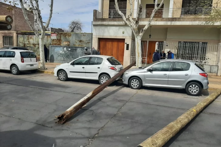 Dos enormes postes de madera cayeron de un camión e impactaron con autos estacionados