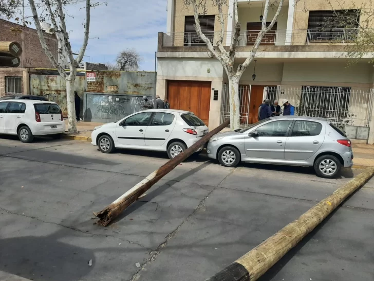 Dos enormes postes de madera cayeron de un camión e impactaron con autos estacionados