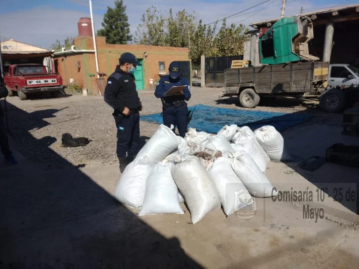 Secuestraron media tonelada de pasas de uva robadas y detuvieron a un sospechoso Secuestraron media tonelada de pasas de uva robadas y detuvieron a un sospechoso