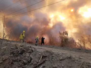 Varias dotaciones sofocaron un incendio de unas 8 hectáreas en el Parque Sarmiento Varias dotaciones sofocaron un incendio de unas 8 hectáreas en el Parque Sarmiento