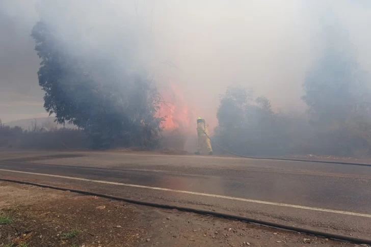 Con el viento como protagonista, hubo más de 13 incendios en la provincia