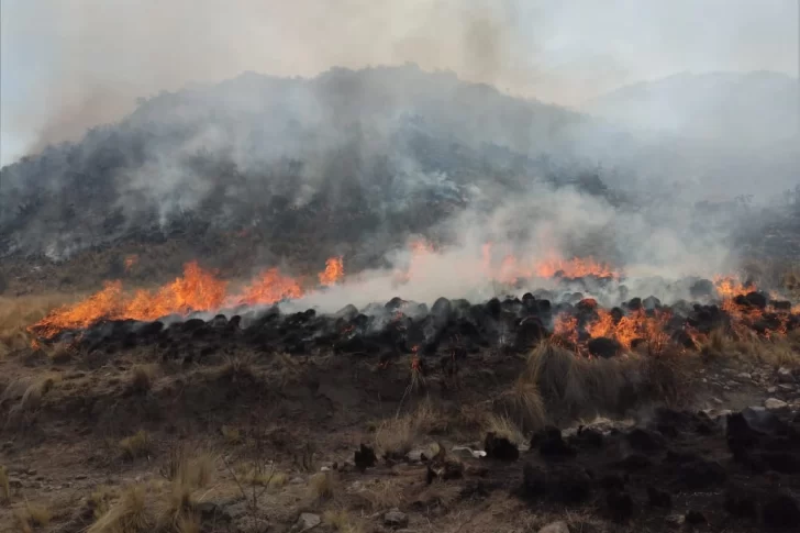 Preocupación en Valle Fértil por nuevos incendios forestales de grandes dimensiones