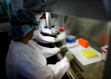 Reportaron el primer caso de la subvariante Ómicron BA.5: es 4,2 veces más resistente