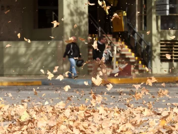 El sube y baja del tiempo: calor, probable Zonda y un descenso abrupto del termómetro