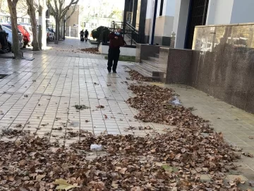 El viento Zonda ya se siente en el Gran San Juan: el termómetro subió 10° en una hora El viento Zonda ya se siente en el Gran San Juan: el termómetro subió 10° en una hora