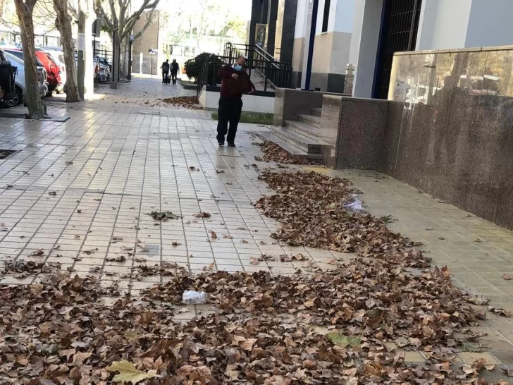 El viento Zonda ya se siente en el Gran San Juan: el termómetro subió 10° en una hora El viento Zonda ya se siente en el Gran San Juan: el termómetro subió 10° en una hora