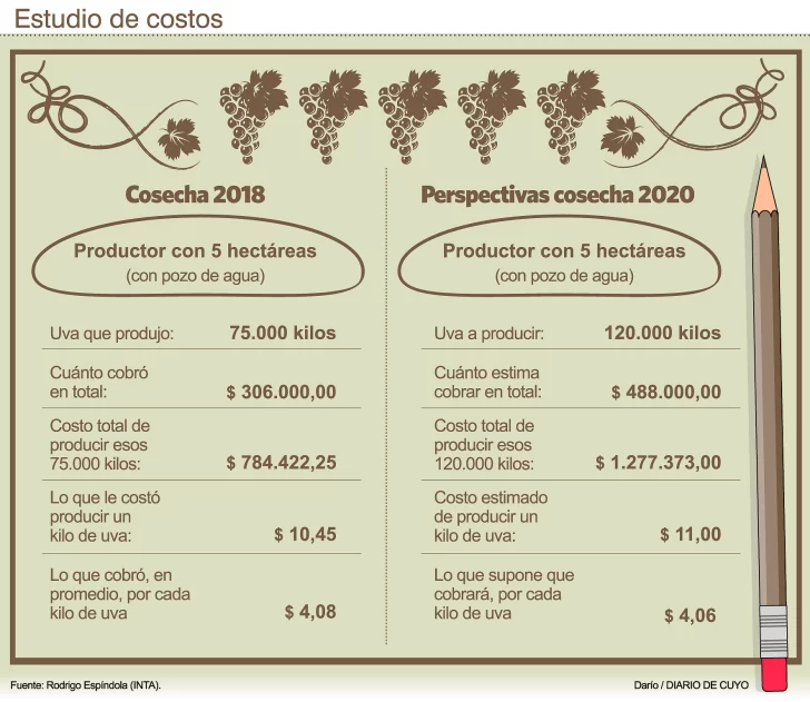INTA muestra costos de producir uva y la industria dice que es apresurado