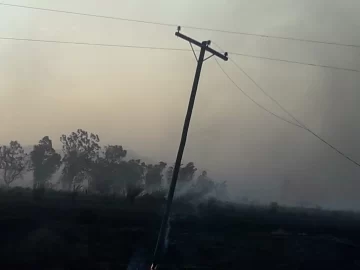Incendios, árboles caídos y cortes de luz, el desastre del Zonda en Jáchal Incendios, árboles caídos y cortes de luz, el desastre del Zonda en Jáchal
