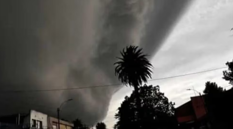 Dos clubes argentinos apuntados por Chelsea rechazaron la posibilidad de ser comprados Dos clubes argentinos apuntados por Chelsea rechazaron la posibilidad de ser comprados