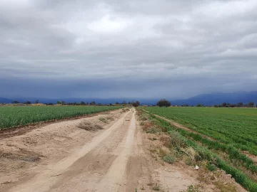 Rotaciones inteligentes Rotaciones inteligentes