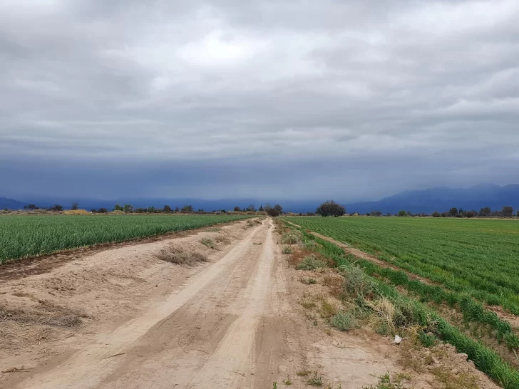 Rotaciones inteligentes Rotaciones inteligentes