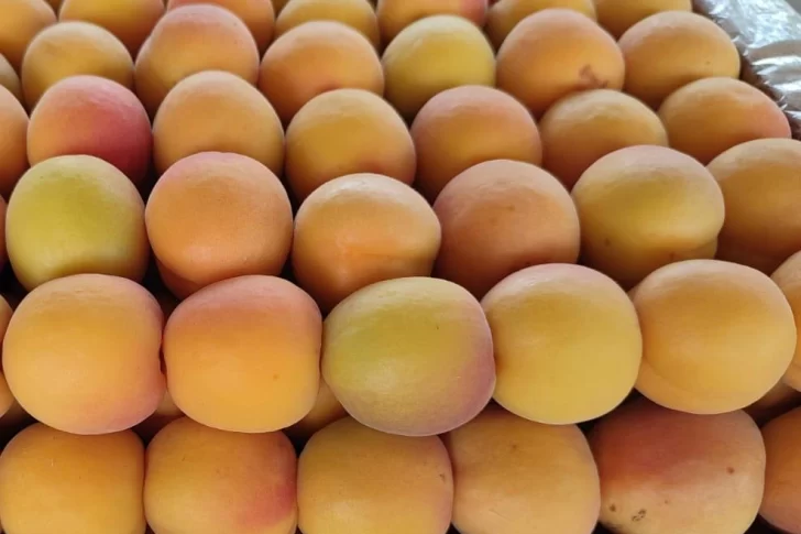 Precios de producciones sanjuaninas