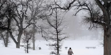 Más de 80 muertos por una ola polar que afecta a gran parte de los Estados Unidos Más de 80 muertos por una ola polar que afecta a gran parte de los Estados Unidos