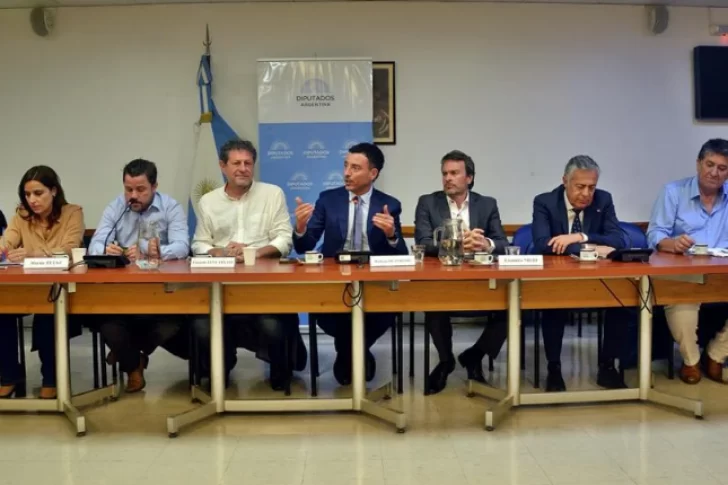 La UCR le envió a Milei un “semáforo“ de la Ley Ómnibus con los artículos que pretenden