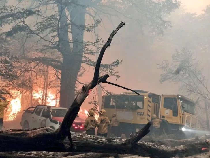 El incendio en el Parque Nacional Los Alerces arrasó con más de 1.000 hectáreas El incendio en el Parque Nacional Los Alerces arrasó con más de 1.000 hectáreas