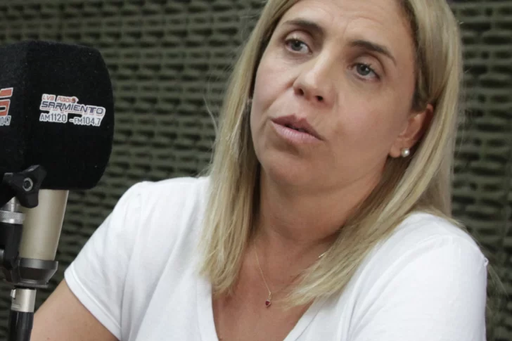 Picón sobre la Ley Ómnibus de Milei: “En lo que venimos estudiando, no hay tanto perjuicio”