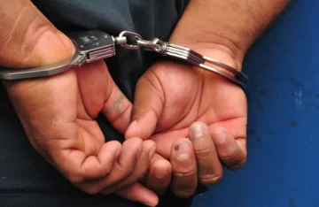 Quiso robar en una casa en Albardón y la policía lo encontró escondido en un árbol: va al Penal