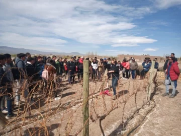 Capacitación en poda de vides, en el departamento de Iglesia Capacitación en poda de vides, en el departamento de Iglesia