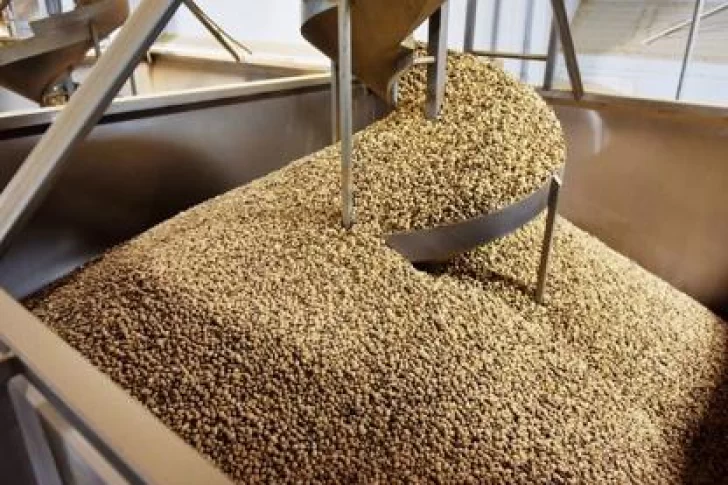 India importa récord de 27.215 tn de pistachos