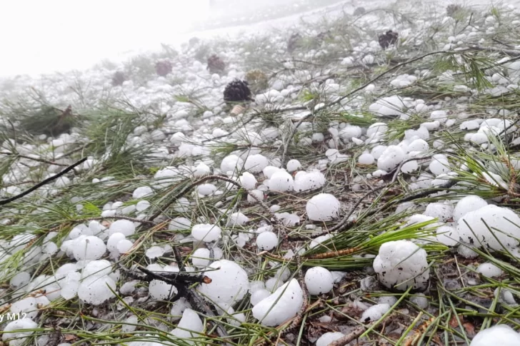 Mendoza decretó el Estado de Emergencia y Desastre Agropecuario