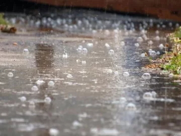Máxima de 32° y promesa de lluvias, el pronóstico del SMN Máxima de 32° y promesa de lluvias, el pronóstico del SMN