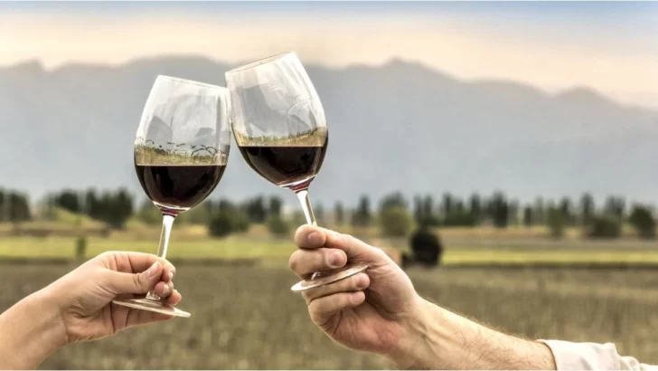 Las 10 tendencias claves para el vino y las bodegas que marcarán el 2024