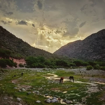Turismo en el primer fin de semana largo: Valle Fértil a tope, buena reserva en el resto y bajo en el Gran San Juan Turismo en el primer fin de semana largo: Valle Fértil a tope, buena reserva en el resto y bajo en el Gran San Juan