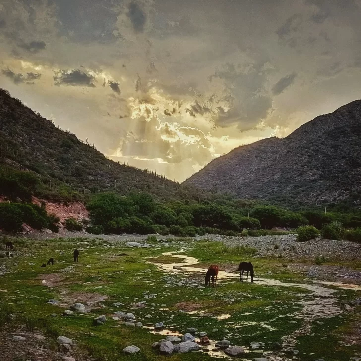 Turismo en el primer fin de semana largo: Valle Fértil a tope, buena reserva en el resto y bajo en el Gran San Juan Turismo en el primer fin de semana largo: Valle Fértil a tope, buena reserva en el resto y bajo en el Gran San Juan