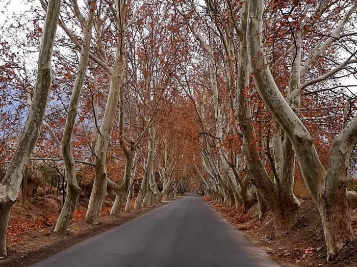 Sube la temperatura este miércoles en San Juan Sube la temperatura este miércoles en San Juan