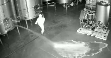 Sabotaje en una bodega: abrió una válvula y derrochó 60 mil litros de vino de alta gama Sabotaje en una bodega: abrió una válvula y derrochó 60 mil litros de vino de alta gama