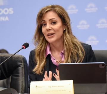 Flavia Royón renunció, por sus redes sociales, a la secretaría de Minería