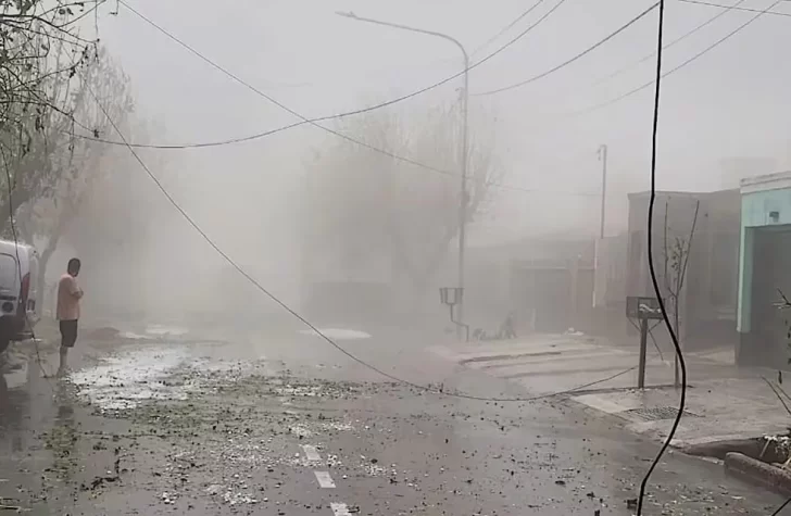 Mendoza: viento, lluvia y granizo provocaron varios daños
