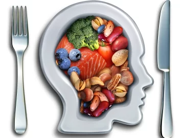 La alimentación de tus neuronas La alimentación de tus neuronas